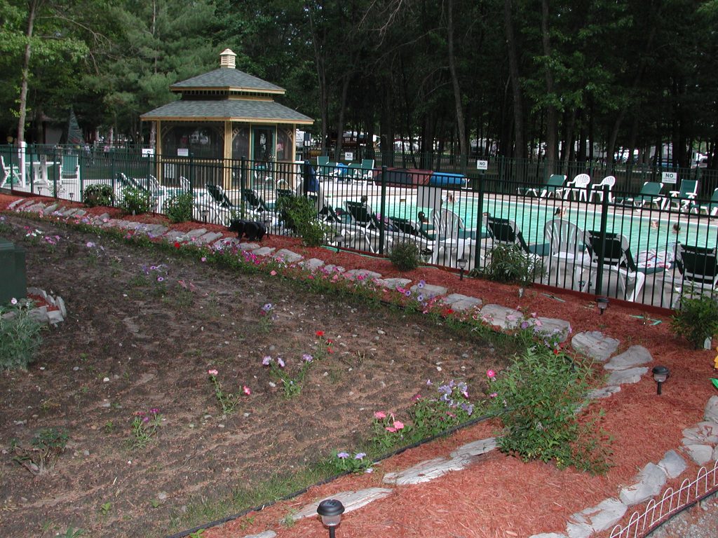Wilderness Outdoor Pool