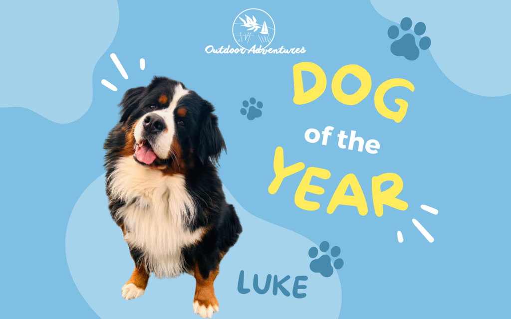 Luke Dog Meet Luke, Outdoor Adventures' Dog of the Year!