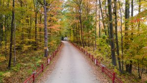 Fall trails